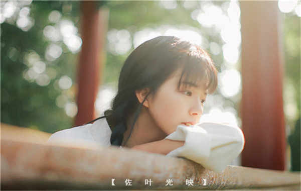 站前胎儿性别鉴定需要多少钱(胎儿性别鉴定的方法)